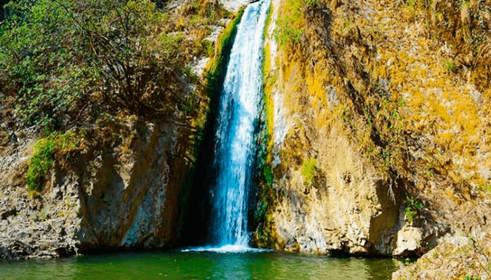 Jharipani Falls​