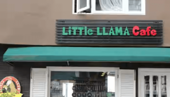 Little Llama Cafe​