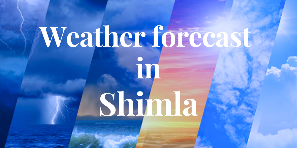 weather forecast in Shimla